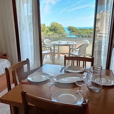 Miami Apartamento Mestres ミアミ・プラトーヤ エクステリア 写真